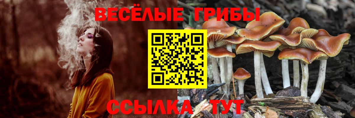 Ханты-Мансийск  Псилоцибиновые грибы MAGIC MUSHROOMS  Вход с VPN 